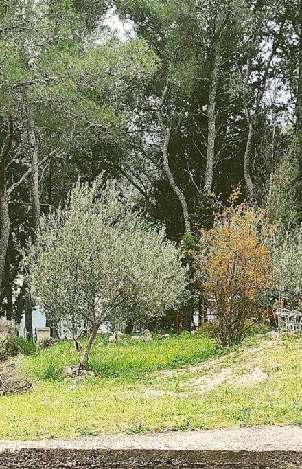 Apartment Maya Stari Grad  Kültér fotó